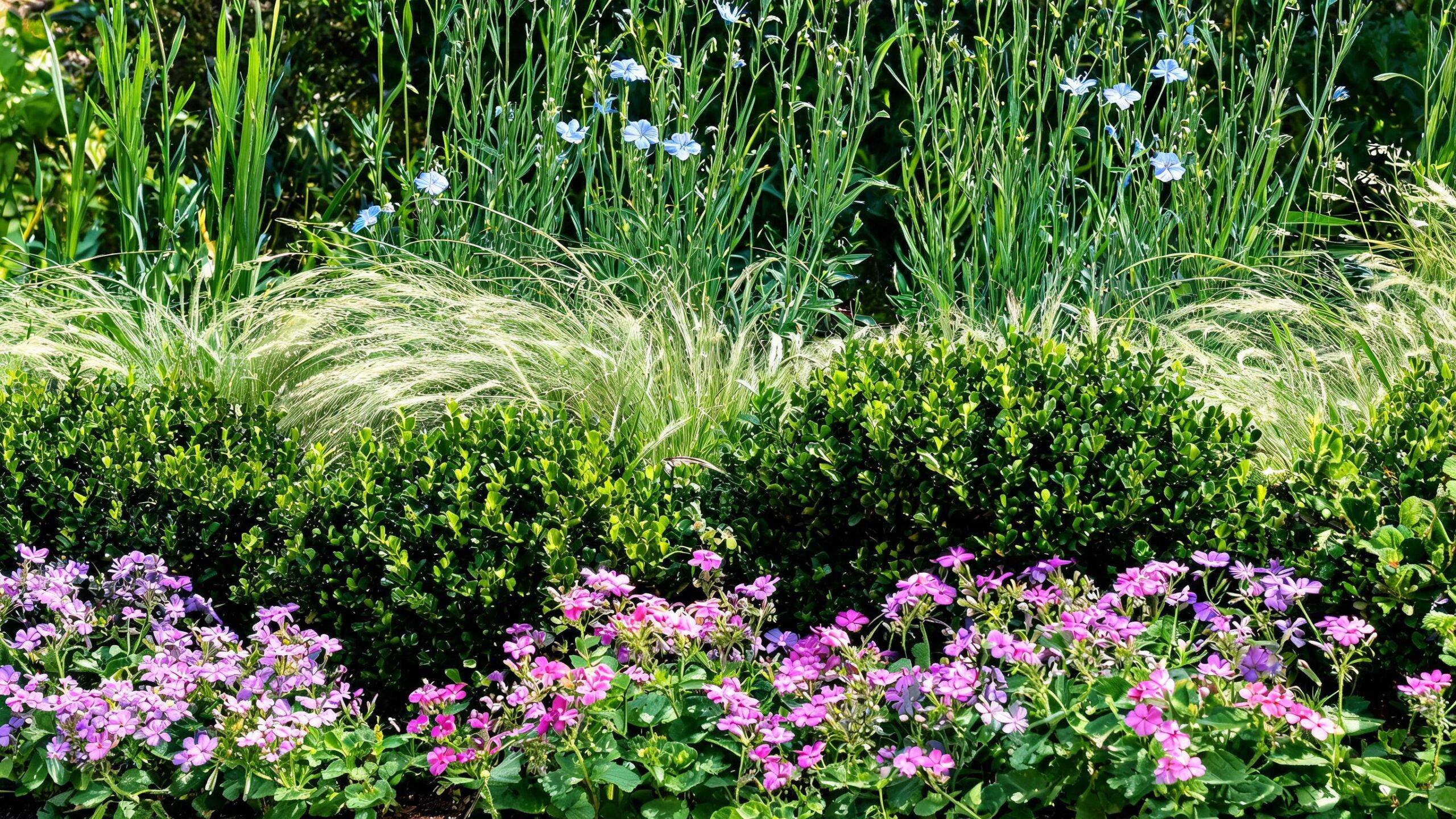 NZ garden design