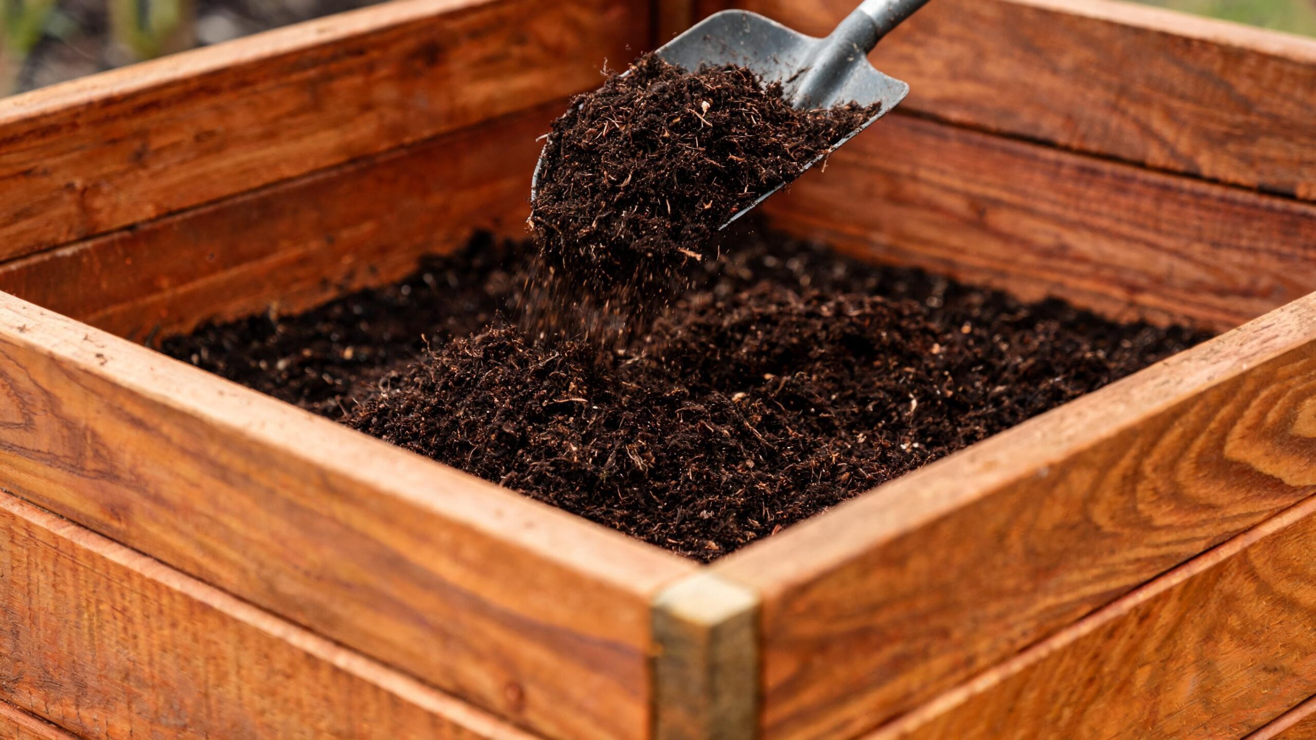carrots raised beds vs ground