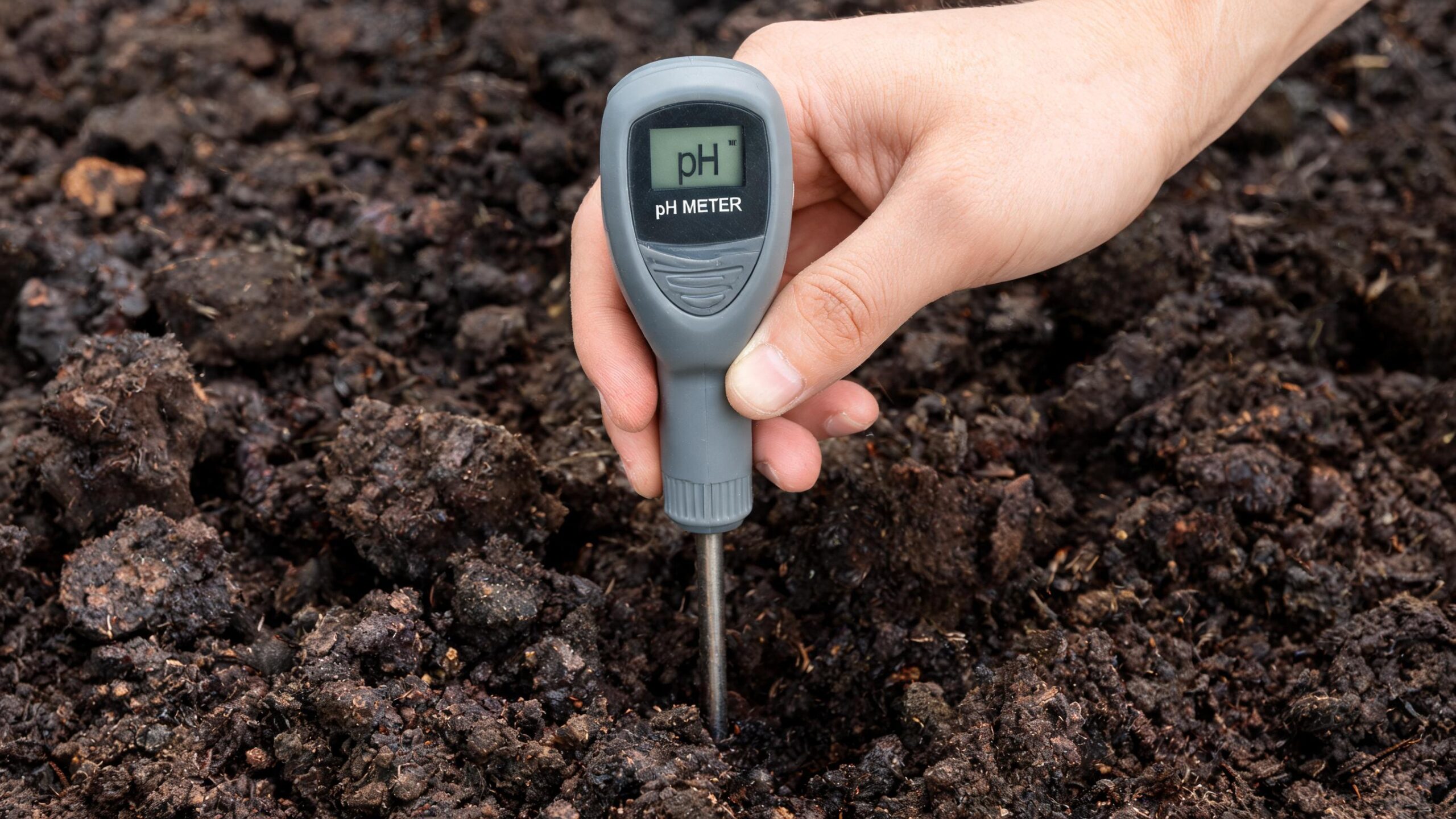 preparing garden soil for spring